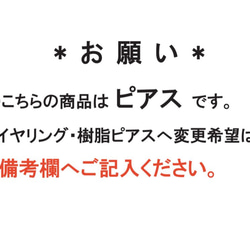 新作＊ニューヨークcolor＊大ぶりピアス　（イヤリング可） 5枚目の画像