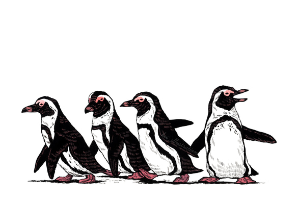 お好みのイラストカード（キャンバス加工）3枚セット【93.マイペースなペンギン】 3枚目の画像