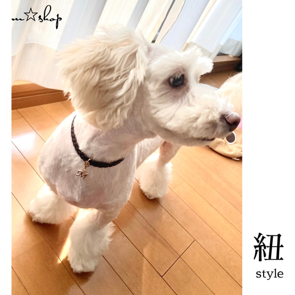 紐~cord 』 チョーカー 金 イニシャル付 首輪 ペット 犬 猫 名