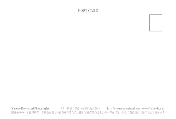 ポストカード／写真　紫陽花　選べる3枚セット 5枚目の画像