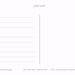 ポストカード／写真　ヒマワリ　選べる3枚セット 5枚目の画像