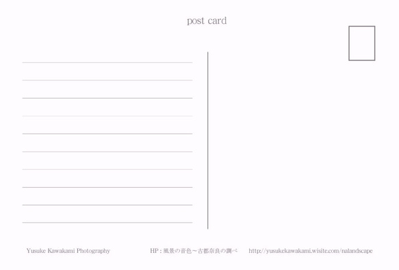ポストカード／写真　ヒマワリ　選べる3枚セット 5枚目の画像