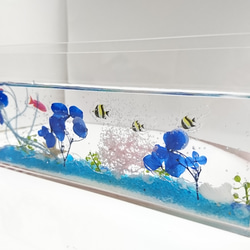 水槽とお花畑のハーバリウムティッシュケース 3枚目の画像