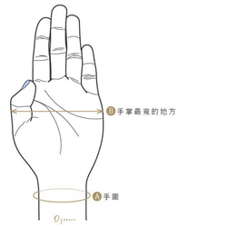 葉脈のブレスレット葉脈のブレスレット 4枚目の画像