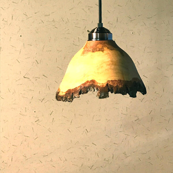 生木のハンノキのペンダントライト丸太・皮付き 2枚目の画像
