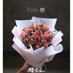 Pink . 戀 第1張的照片