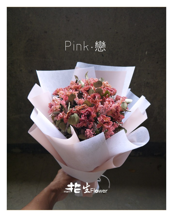 Pink . 戀 第1張的照片