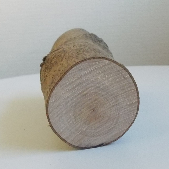 送料込み◆国産オリーブのハンドメイド加工用木片２ 2枚目の画像