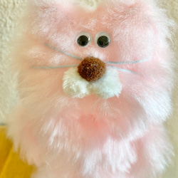 桜餅色猫さん 2枚目の画像