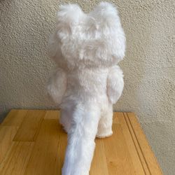 キラキラお鼻の白猫さん 3枚目の画像
