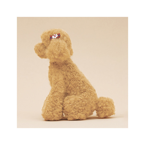 リアル羊毛フェルト レッスンキット トイプードル キット 紡ぐ布屋 ron