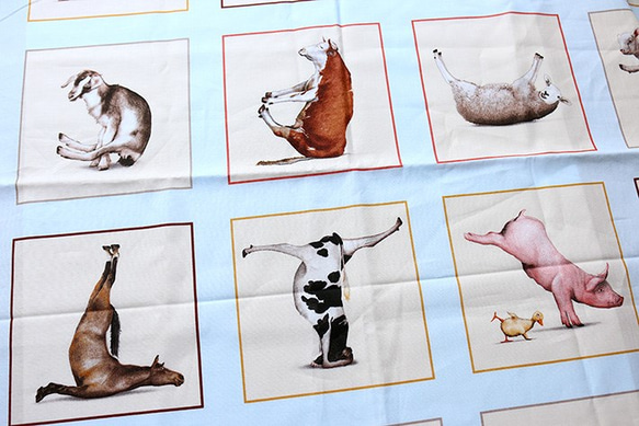 美國面料棉100％動物瑜伽【伊麗莎白工作室】 第4張的照片