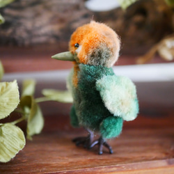 謎の鳥ちゃん 橙緑 小鳥のぬいぐるみ  テディベア 3枚目の画像