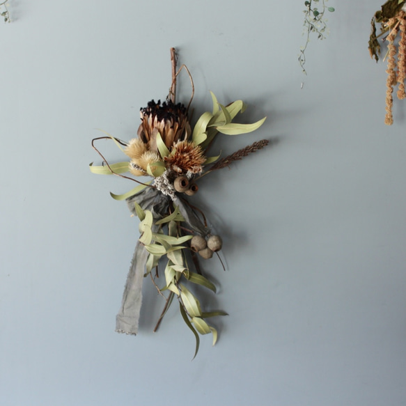 プロテアニオベのシンプルスワッグ プロテアニオベのシンプルスワッグ ロビン」swag プロテアとヘリコニア