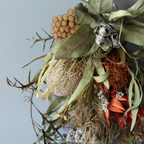 ドライフラワー　スワッグ　インテリア　バンクシア ドライフラワー スワッグ インテリア バンクシア