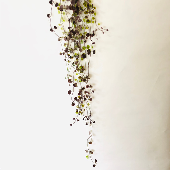 【送料無料】インテリアグリーン　ハートカズラのシンプルスワッグ（高級造花） 6枚目の画像