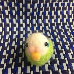 まんまるセキセイインコ 2枚目の画像