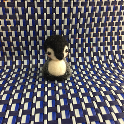 まんまるペンギン 1枚目の画像