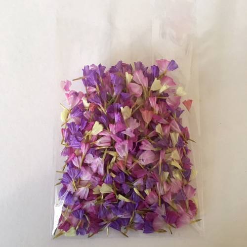 ☆花びら☆カラフルmix☆スターチス☆ドライフラワー その他素材