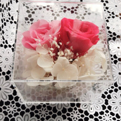 キューブに2色のピンクバラ 4枚目の画像