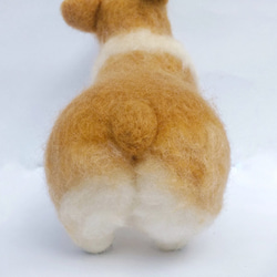 羊毛氈 擬真 寵物 狗狗 - 柯基 植毛款 (客製化) 第3張的照片
