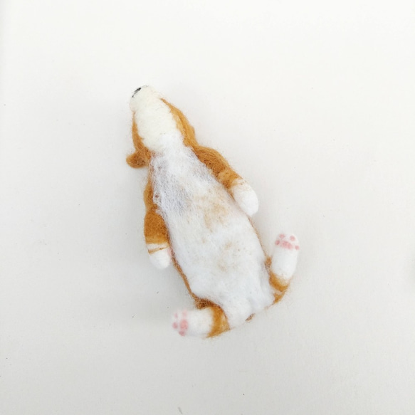 ウールフェルト小型犬犬賢治マグネットマグネットペーパークリップヘアピン文具収納 5枚目の画像