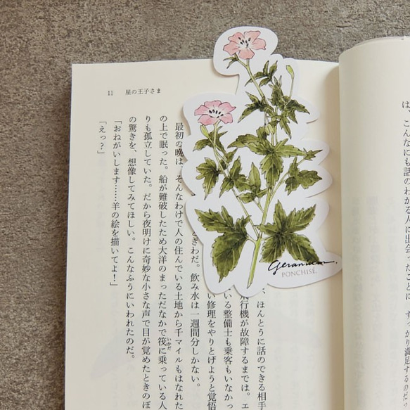 洋甘菊和天竺葵書籤 第4張的照片