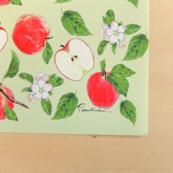 りんごのセット 3枚目の画像
