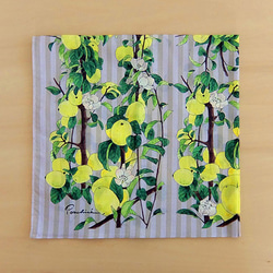 木瓜海棠。棉質手帕。大尺寸 第2張的照片