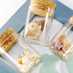 天然貝殻瓶詰め3点セット その他雑貨 HatoMugi 通販 3991554