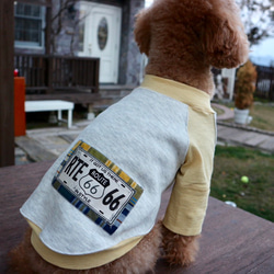 犬服 ♡ ミモザカラーのラグランTシャツ 長袖 2枚目の画像