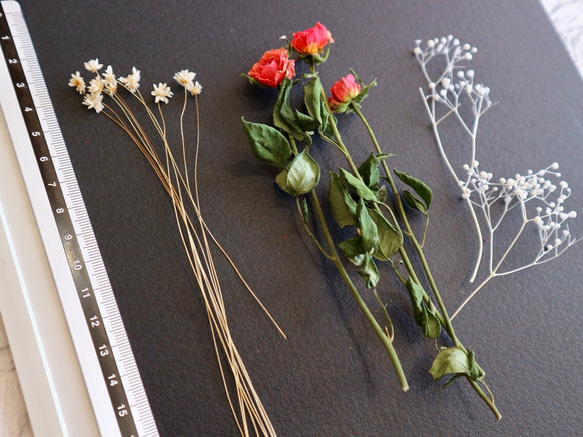 《ハーバリウム資材》薔薇・かすみ草・小花 1枚目の画像