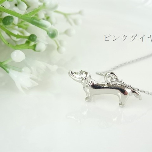 楽天市場】パール ネックレス（ペット・ペットグッズ）の通販 ワン