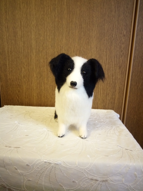 羊毛フェルト ボーダーコリー 羊毛フェルト masapan 通販 10861936