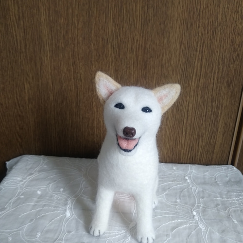 羊毛フェルト 白柴 紀州犬 白い子犬 パピー犬 羊毛フェルト