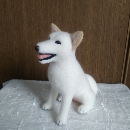 羊毛フェルト 白柴 白い犬 羊毛フェルト masapan 通販 11013552 羊毛フェルト 白柴 白い犬 羊毛フェルト masapan 通販 11013552