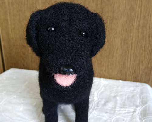 0_c8598a56bb03568710e120b53570