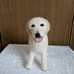 羊毛フェルト 犬 ラブラドールレトリバー イエローラブ 羊毛