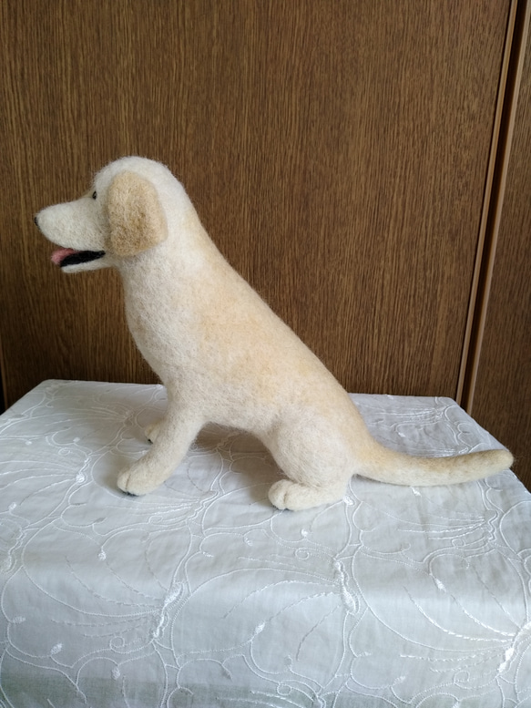 羊毛フェルト　犬　ラブラドールレトリバー　イエローラブ 5枚目の画像