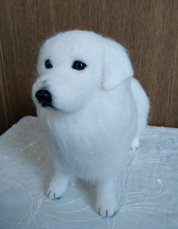 羊毛フェルト　犬　グレート・ピレニーズ 3枚目の画像