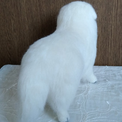 羊毛フェルト　犬　グレート・ピレニーズ 5枚目の画像