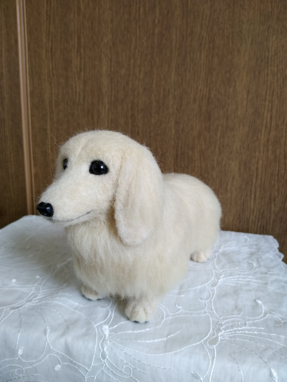 羊毛フェルト　犬　ダックス　クリーム 3枚目の画像