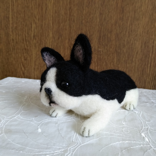 羊毛フェルト フレンチブルドッグ 羊毛フェルト masapan 通販 12180203