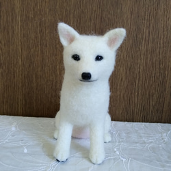 0_911db333b1ebb2382b1ea5b04631