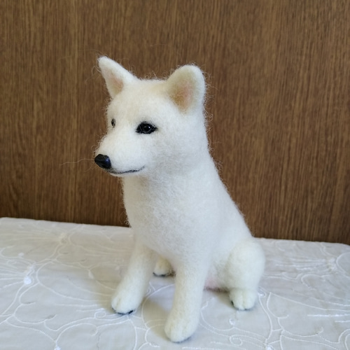 モンブラン 羊毛フェルト 犬 白柴ちゃん 羊毛フェルト 犬 白柴犬の子犬 柴犬 しばいぬ 犬フィギュア 羊毛