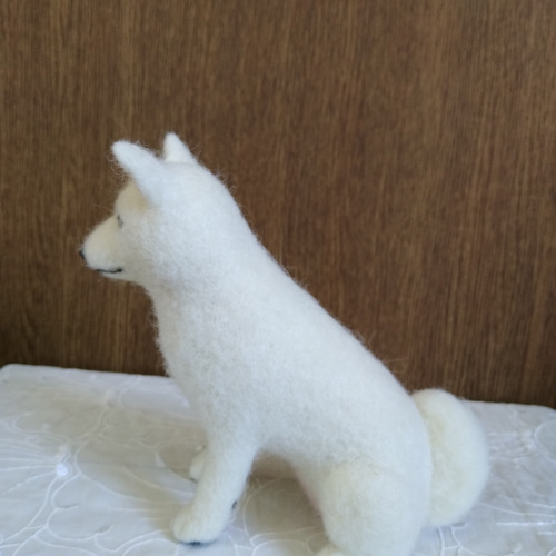 羊毛フェルト　白柴　紀州犬　白い子犬　パピー犬 羊毛フェルト 白柴 白い犬 羊毛フェルト masapan 通販 12268390