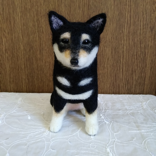 羊毛フェルト 豆柴 柴犬 黒柴 犬 芝生 ハンドメイド