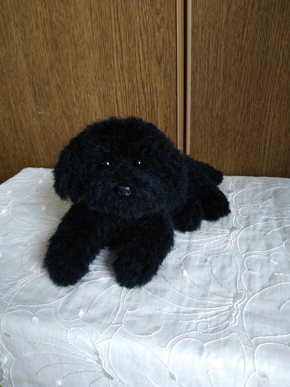 羊毛フェルト トイプードル 黒 羊毛フェルト masapan 通販