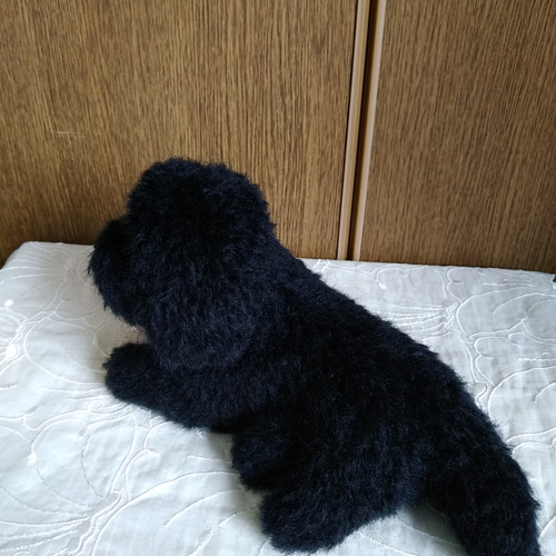 羊毛フェルト トイプードル 黒 羊毛フェルト masapan 通販 12460506