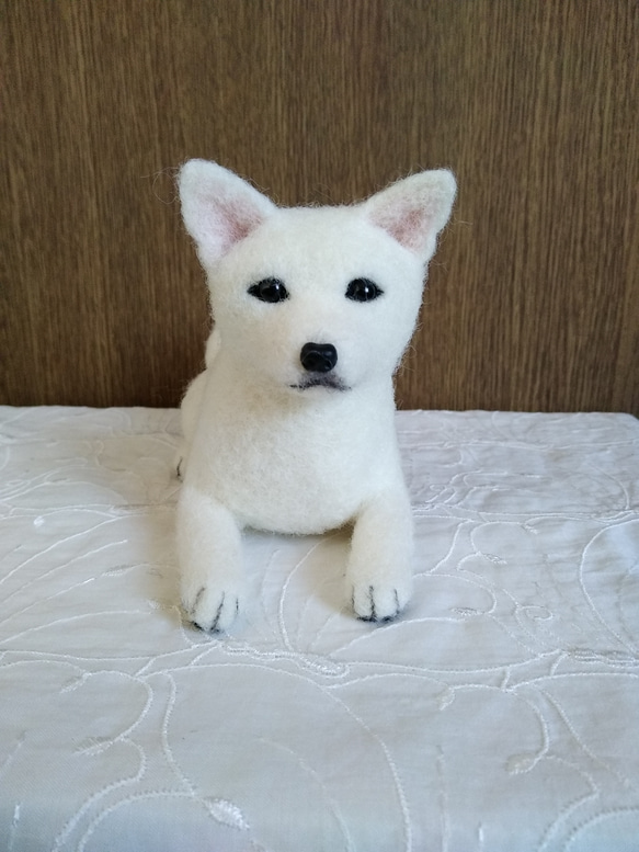 【羊毛フェルト】 ホワイトシェパード フェルト犬 ホワイト・シェパード シロさん <MW286> - グレのお